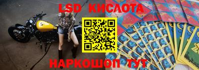 mdpv Камышлов