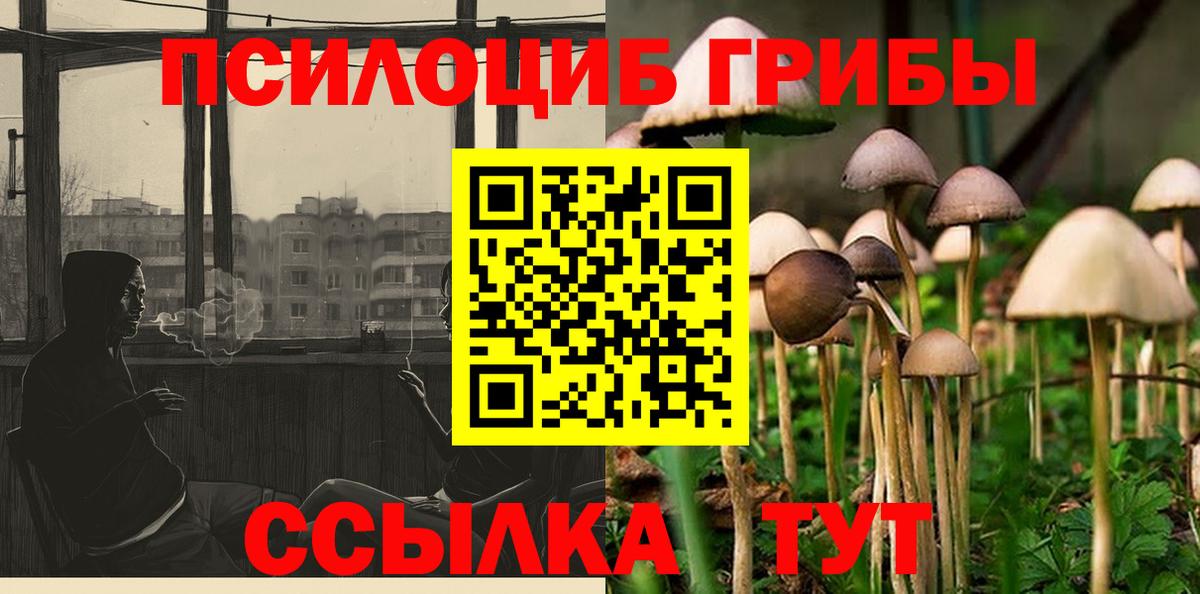 Псилоцибиновые грибы Psilocybe Куйбышев