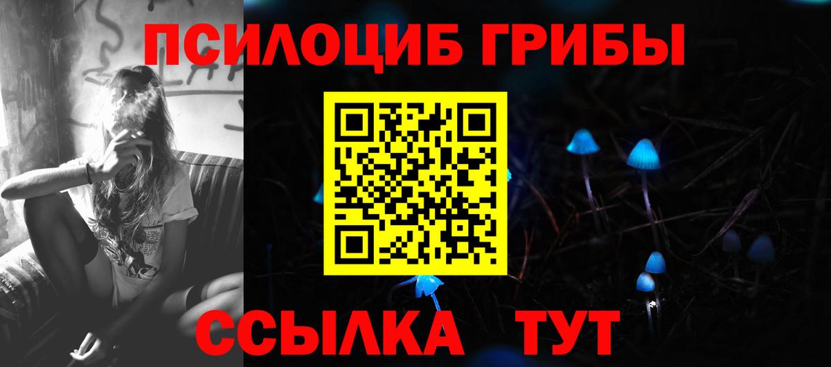Куйбышев  Псилоцибиновые грибы GOLDEN TEACHER  где можно купить наркотик  Галлюциногенные грибы мухоморы  Вход с VPN 